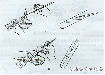 微生物检测中常用的细菌接种方法（三）