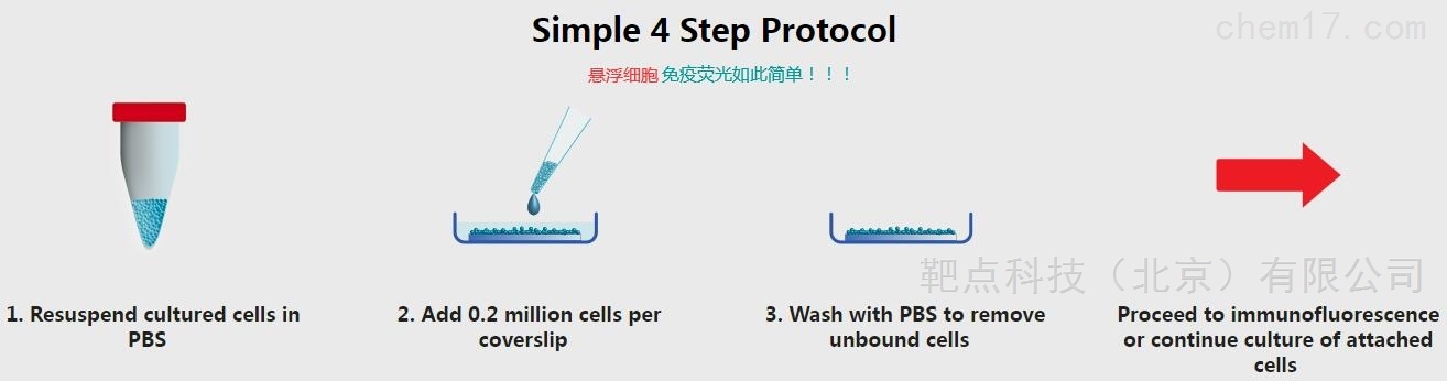 悬浮细胞如何固定做免疫荧光等后续实验？