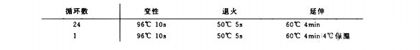 测序反应实验