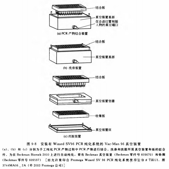 以硅膜为基础纯化 PCR 产物实验方法