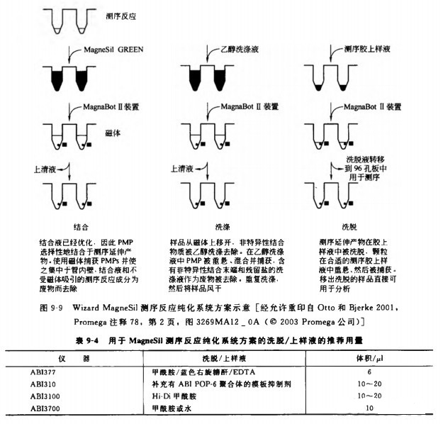 染色末端的清洁纯化实验