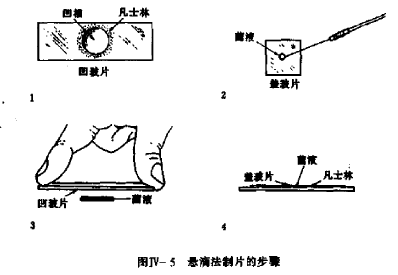 悬滴法