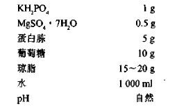 马丁氏培养基的制备