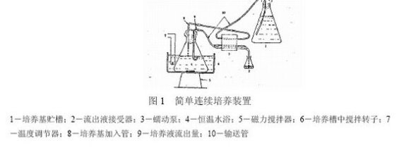 连续培养法