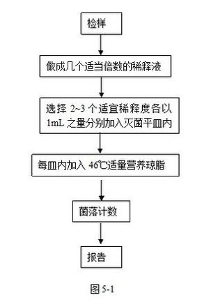 平板培养计数法