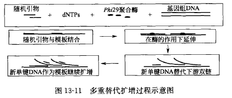 多重替代扩增