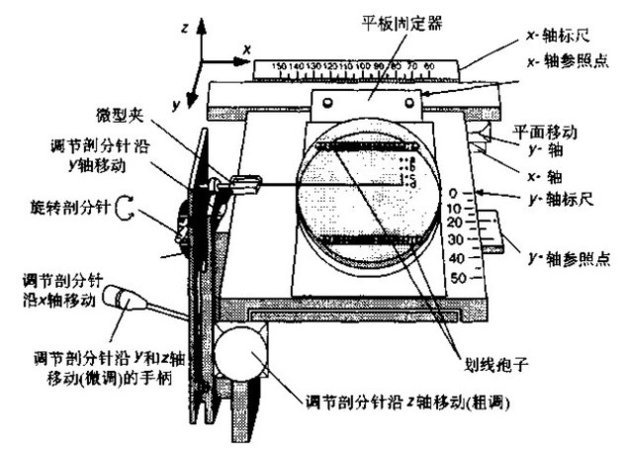 酵母菌四分体的制备与剖分实验