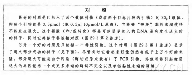 核糖克隆实验