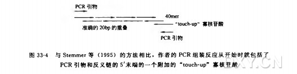 定制 40bp 寡核苷酸实验