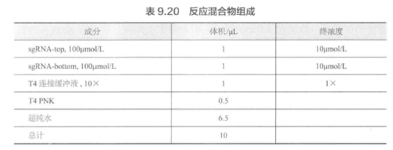 验证候选基因以筛查表型