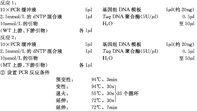 简单等位基因辨别PCR