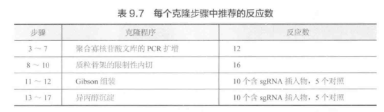 克隆自定义 sgRNA 文库