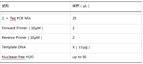 TA 克隆