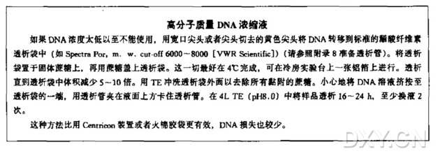 用甲酰胺从哺乳动物细胞中分离高分子质量DNA