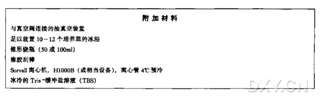 用蛋白酶K和苯酚从哺乳动物细胞中分离高分子质量DNA