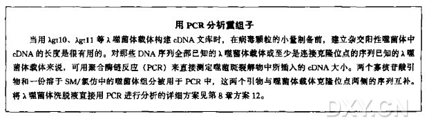 λ噬菌体噬菌斑的挑取实验