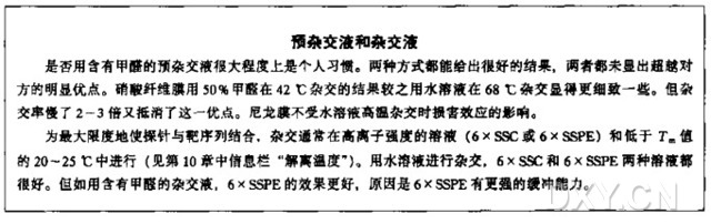 在滤膜上进行细菌DNA的杂交实验