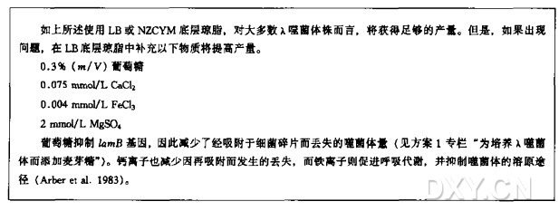 通过平板裂解和洗脱制备λ噬菌体原种实验