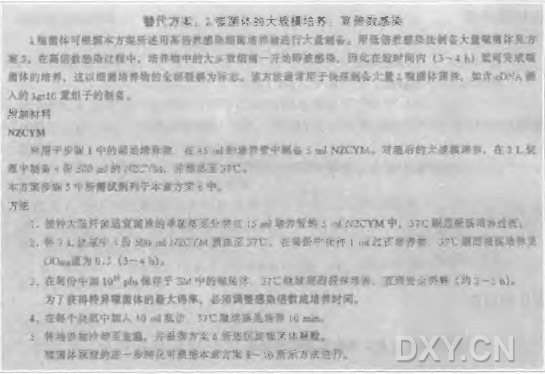 λ噬菌体的大规模培养(低倍数感染)实验