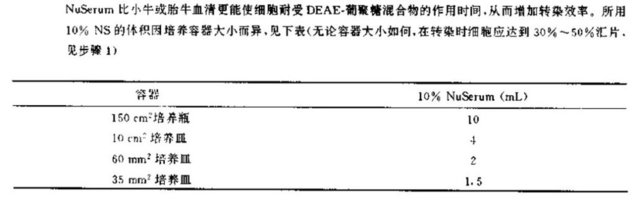 真核细胞利用 DEAE- 葡聚糖的转染实验