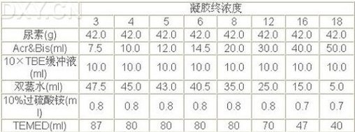 DNA 测序（非同位素银染）