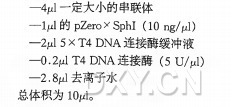 克隆串联体实验