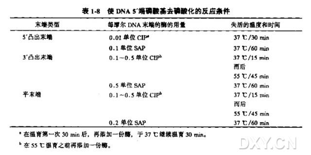 质粒DNA的去磷酸化实验