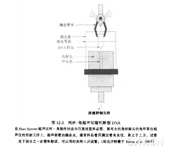 建立随机重叠 DNA 插入文库实验