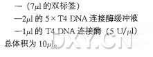 串联体化实验