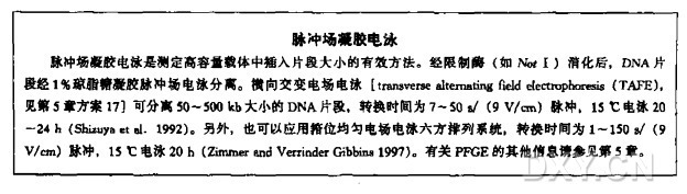 应用黏粒载体构建基因组DNA文库