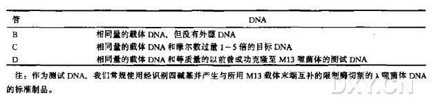 M13噬菌体载体的克隆