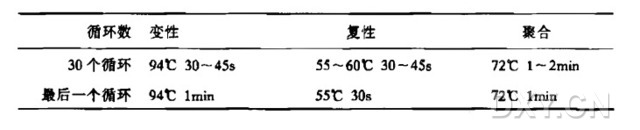 利用聚合酶链反应制备放射性标记的DNA探针