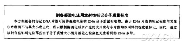 用大肠杆菌DNA聚合酶Ⅰ的Klenow片段标记双链DNA的3’端