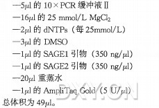 双标记签的PCR扩增实验