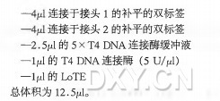 连接为双标签实验