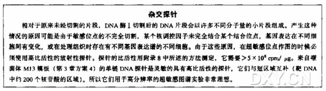 DNA 酶 I 超敏感位点作图