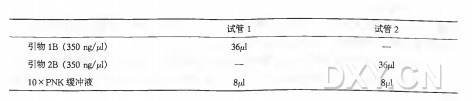 加入接头实验