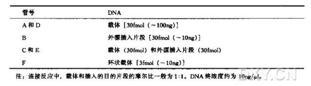 在质粒载体中进行定向克隆实验