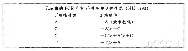 准备插入片段实验