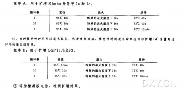 高 GC 含量片段的 PCR 扩增实验