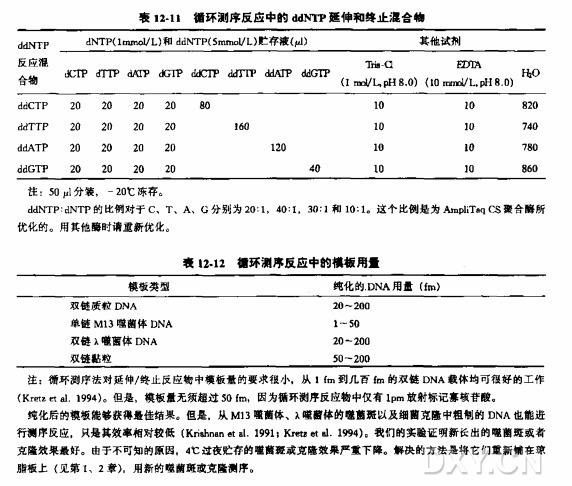 循环测序：利用 PCR 和引物末端标记进行双脱氧测序实验