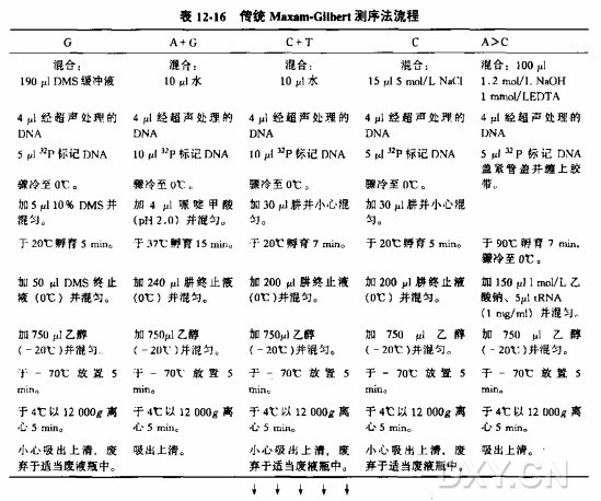 化学测序法实验