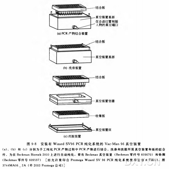 以硅膜为基础纯化 PCR 产物实验方法