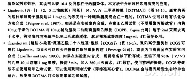 脂染介导的 DNA 转染实验