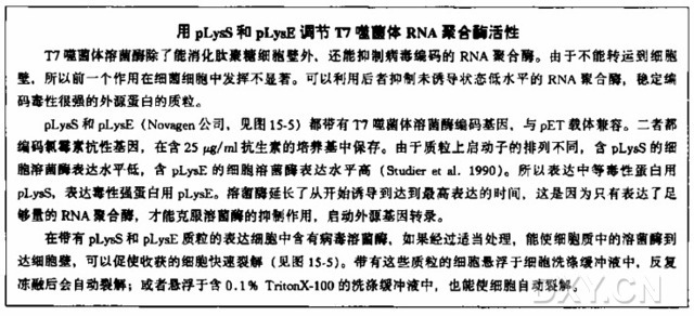 用 T7 噬菌体启动子在大肠杆菌中表达克隆基因实验