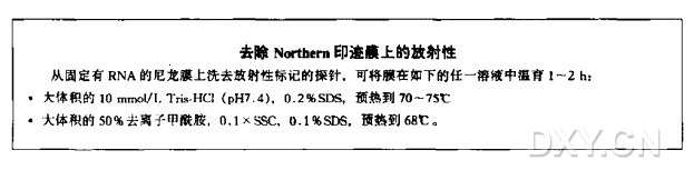 Northern杂交