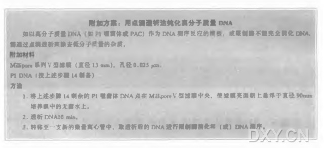 P1噬菌体及其克隆系统的应用