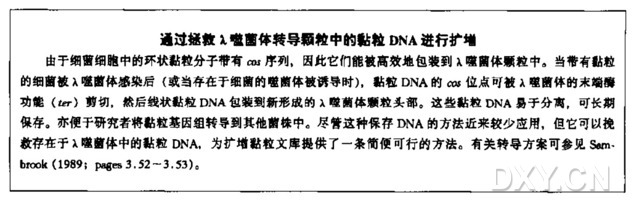 黏粒文库的扩增和贮存(在液体培养基内扩增)