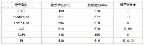 荧光原位杂交实验（荧光原位杂交技术）