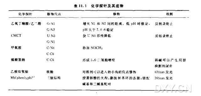 RNA足迹和修饰干扰分析实验